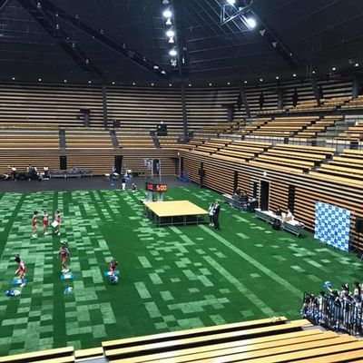 İyi fiyat Futbol Futbol Spor Mahkemesi SGS Sertifikası için 45mm Yükseklik Sentetik Suni Çim çevrimiçi