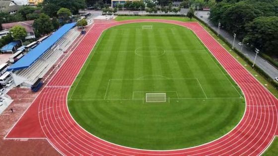 İyi fiyat Fitness merkezleri için bakım gerektiren lastik atletik koşu pistleri çevrimiçi