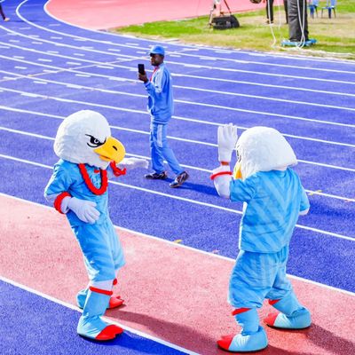 İyi fiyat Toksik Olmayan Sandviç Koşu Pisti, IAAF Sertifikalı Atletik Yarış Pisti çevrimiçi