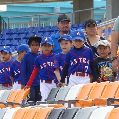 Stadyumlar ve Arenalar için Anti-Yaşlanma Anti-UV ve Yangın geçirmez özellikleri olan HDPE Plastik Stadyum Koltuğu