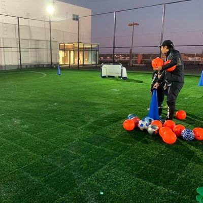 İyi fiyat Anti UV Yaşlanma Karşıtı Suni Çim 45mm, Spor Sentetik Çim 50cm × 50cm çevrimiçi