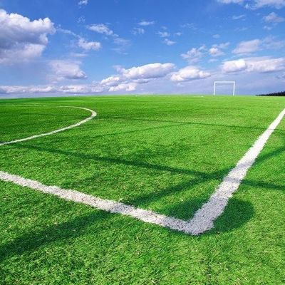 İyi fiyat Peyzaj Dekorasyonu için Futbol Sahası Sentetik Suni Çim Anti UV OEM ODM çevrimiçi
