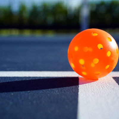 İyi fiyat Dayanıklı açık hava oyunları için 45 lb. çevrimiçi