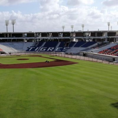 İyi fiyat HDPE malzemesi Stadyum spor koltukları 5 yıl - W 430 mm * D 600 mm * H 835 mm çevrimiçi