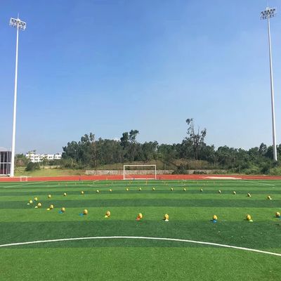 PE PP Çeşitli Uygulamalar için Uygun Sentetik Yapay Çim Çim 25m * 4m