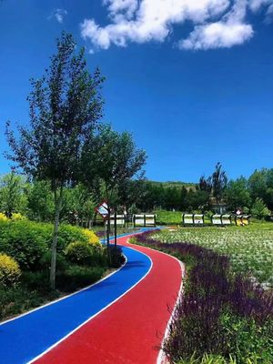 İyi fiyat Açık hava sporları için solma direnci olan dikdörtgen atletik koşu pistleri çevrimiçi